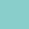 Bronson Samarria Brevard Pro G3 Bearings - Teal - Image 5