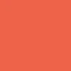 CCS Black Logo Buckle Belt - Orange - Image 6