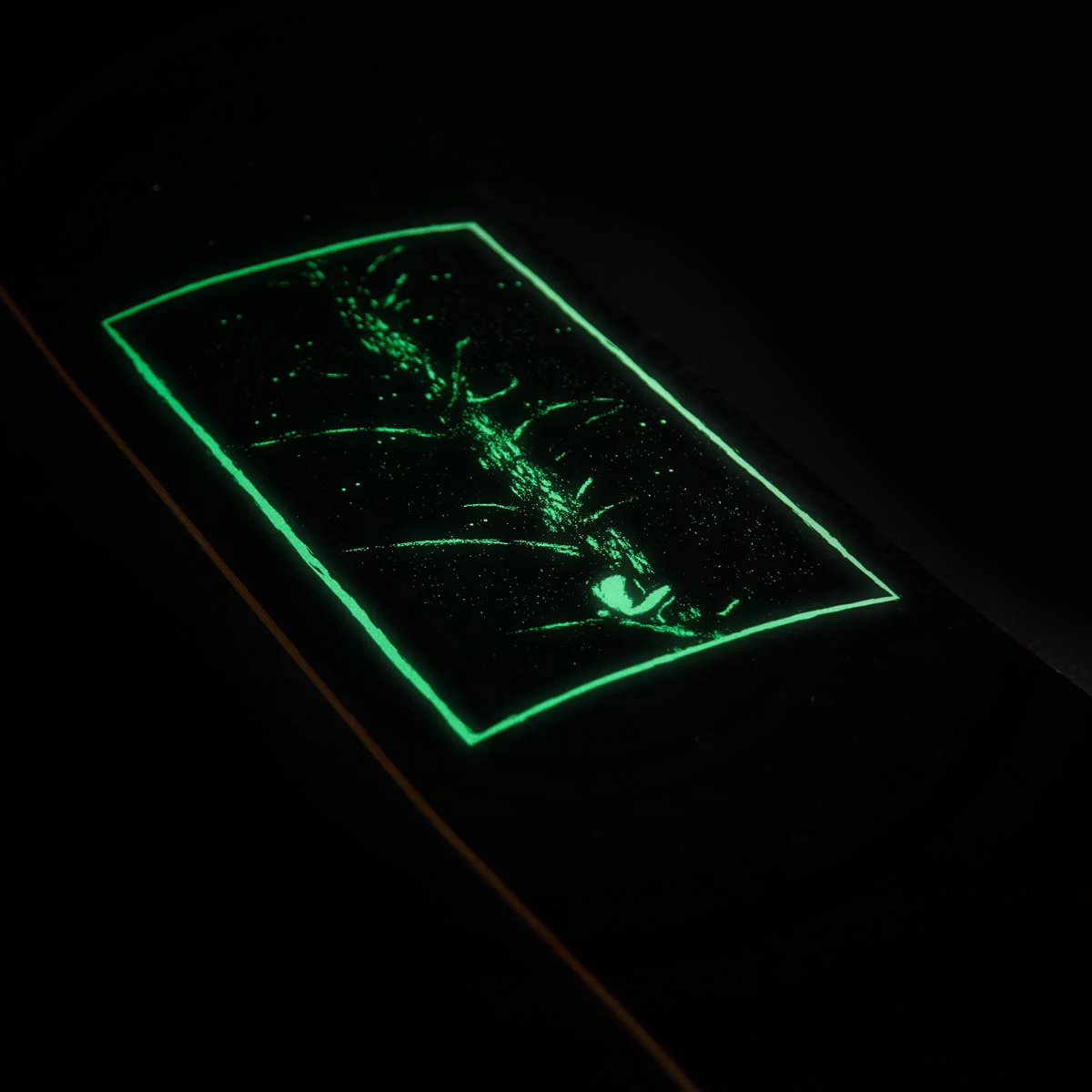 CCS Fear of the Dark Skateboard Complete - Glow - Image 4