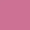 CCS Gunmetal 96 Logo Web Belt - Pink - Image 4