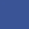 CCS Gunmetal 97 Star Web Belt - Royal Blue - Image 4