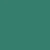 CCS Icon Snapback Hat - Green/Brown - Image 4