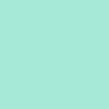 CCS June 1985 Ad Hydro Shorts - Teal/White - Image 8