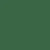 CCS Logo Mini Skateboard Complete - Evergreen - Image 2