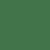 CCS Logo Mini Skateboard Deck - Evergreen - Image 2