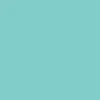 CCS Logo Mini Skateboard Deck - Mint - Image 4