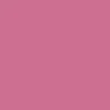 CCS Silver 97 Star Web Belt - Pink - Image 4