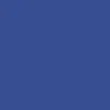 CCS Silver 97 Star Web Belt - Royal Blue - Image 4