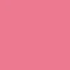 CCS Silver Kickflip Buckle Belt - Pink - Image 5
