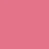 CCS Silver Logo Buckle Belt - Pink - Image 5