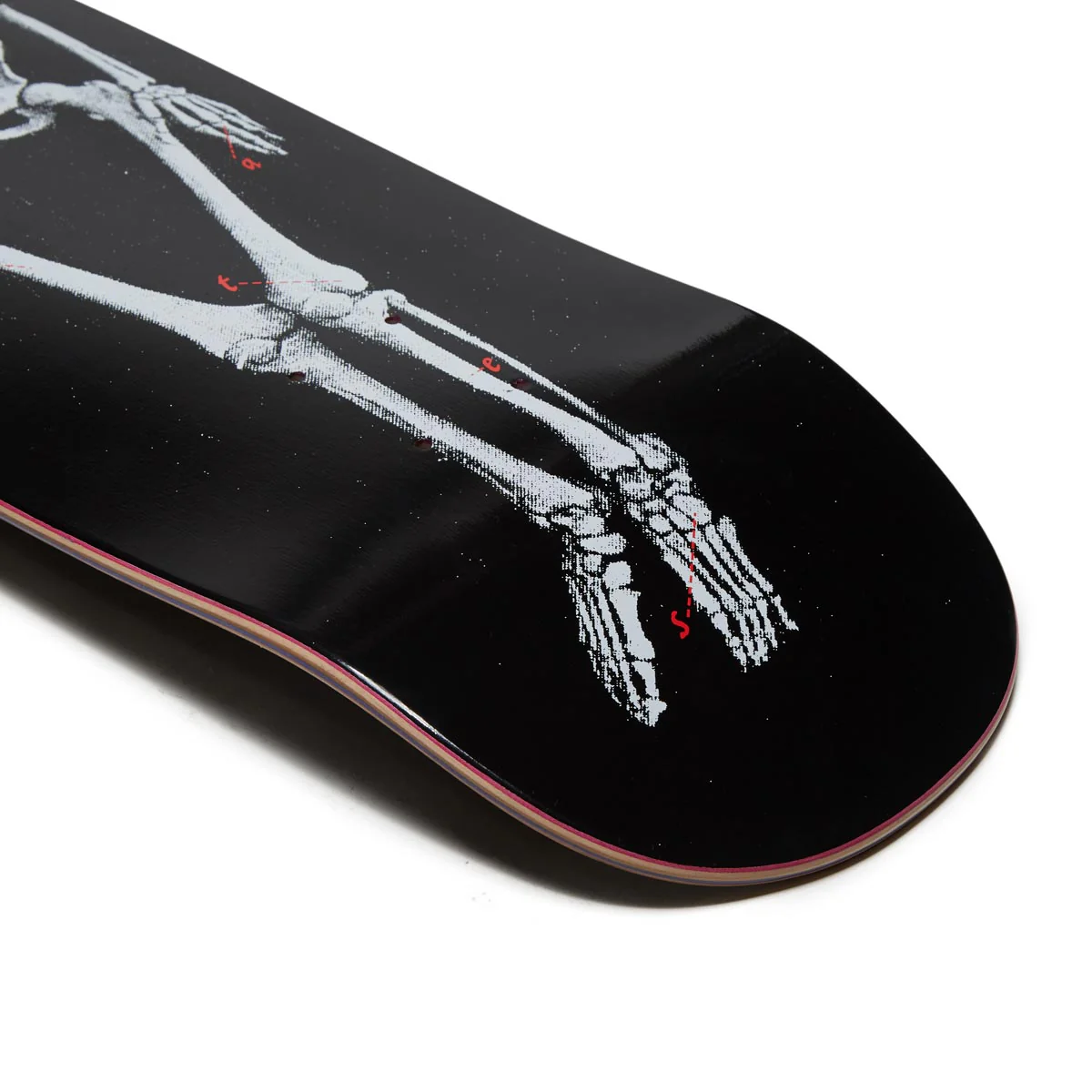 CCS Skeleton Shp1 Shaped Skateboard Deck - Black - Image 4
