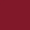 CCS Swim Club Hybrid Shorts - Maroon - Image 5