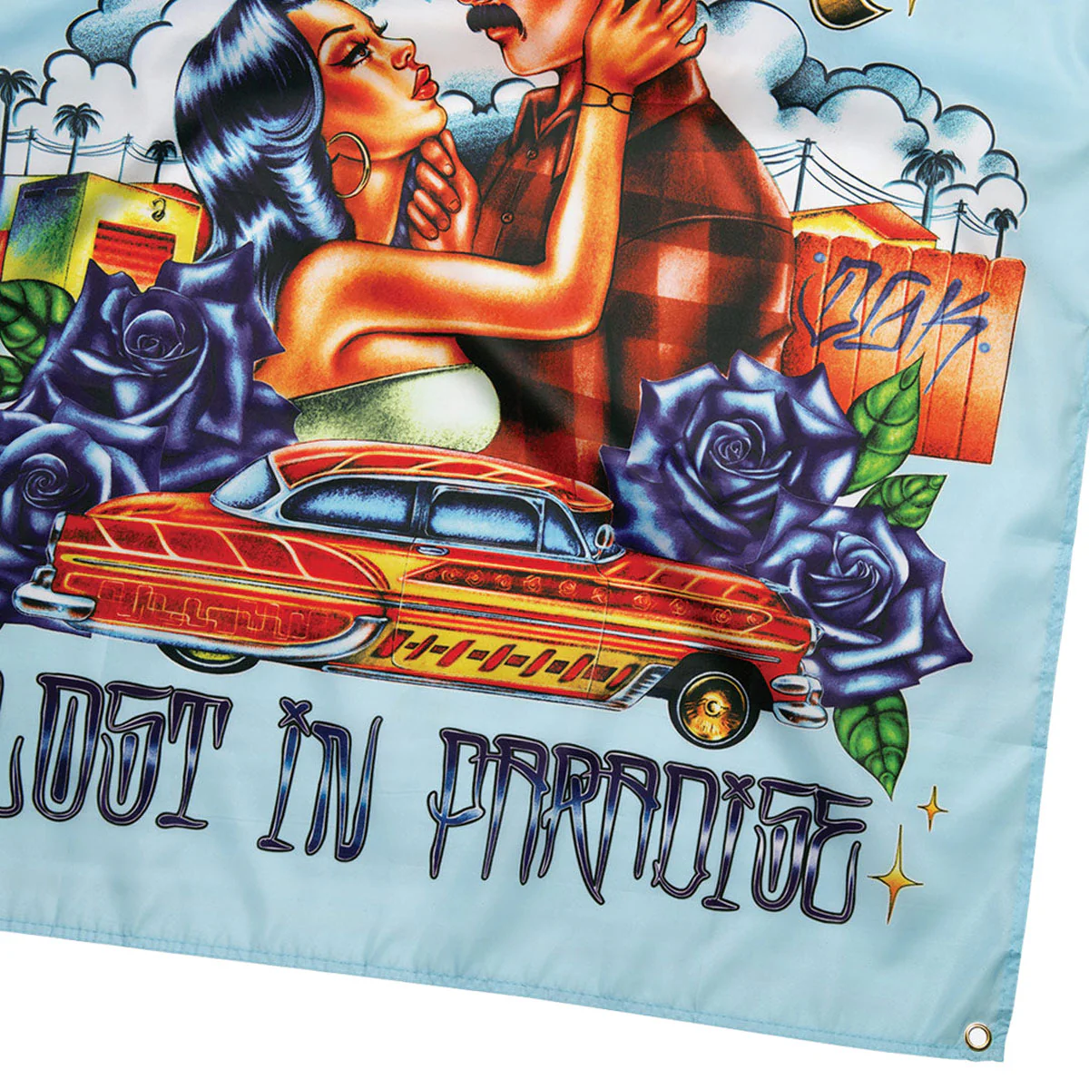 DGK Lost In Paradise Banner - Blue - Image 3