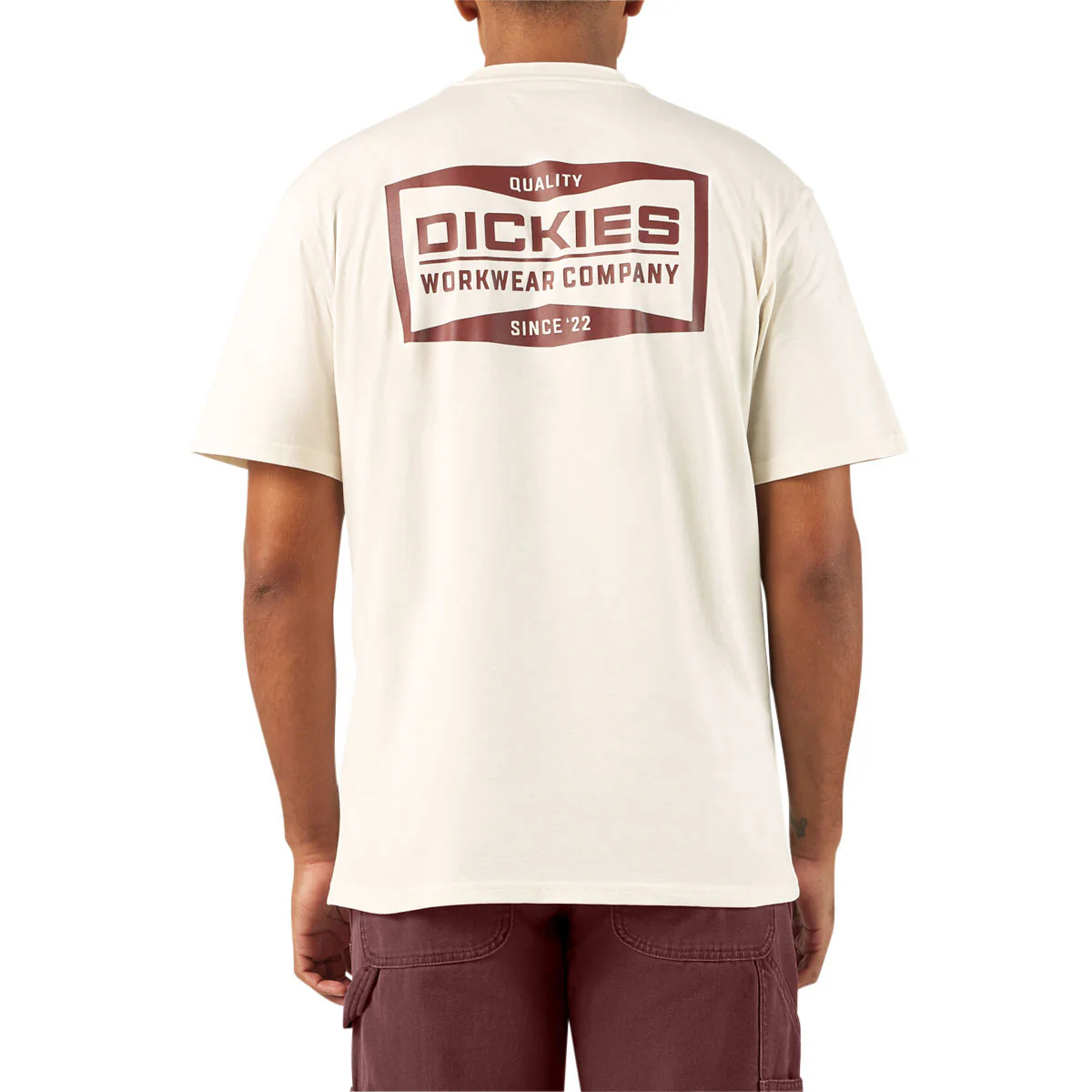 Dickies Bolivar T-Shirt - Egret - Image 3