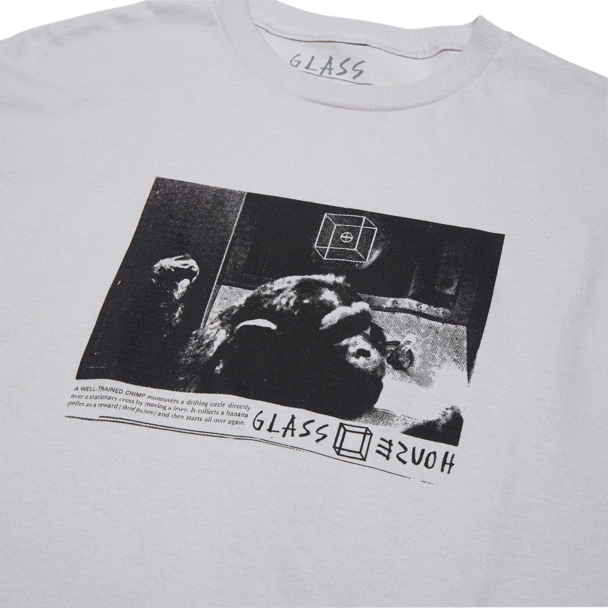 Glass House Hominid T-Shirt - Concrete - Image 2