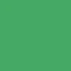 Globe CT-4 Shoes - Green - Image 5