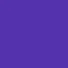 Loosey Brick Road Belt - Purple - Image 3