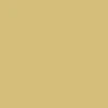Nike SB Postcard Sweatshirt - Buff Gold - Image 5