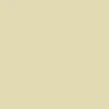 Nike SB Youth Long Sleeve Button Down Shirt - Light Khaki/Desert Khaki - Image 5