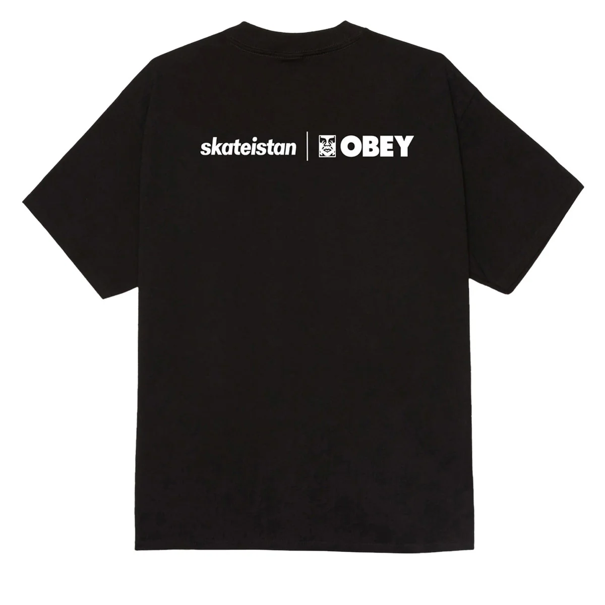 Obey Skateistan T-Shirt - Black - Image 2