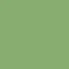 Polar Default Hoodie - Grass Green - Image 4