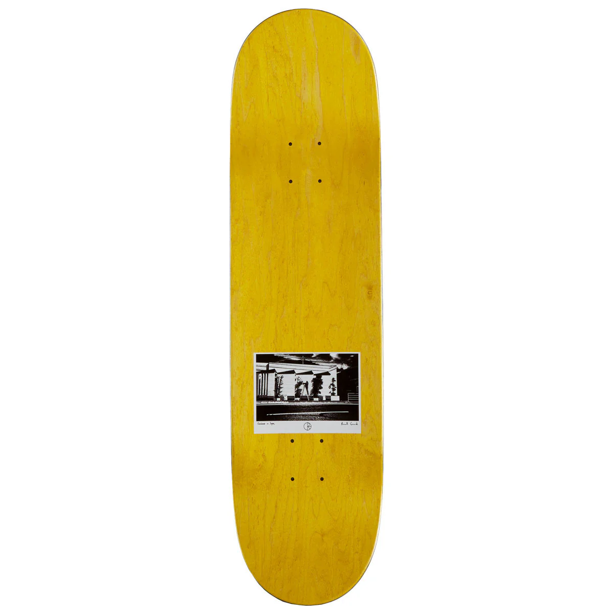 Polar Paul Grund Gardner Skateboard Complete - 8.25" - Image 2
