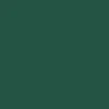 Powell-Peralta Andy Anderson Grip tape - Green - Image 2