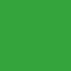 Push Lizard Big Skateboard Complete Kit - Green - 7.00" - Image 3