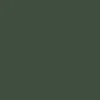 Raen Remmy 52 Sunglasses - Honey/Bottle Green - Image 4