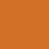 Real Spot Conservators Beanie - Orange - Image 2