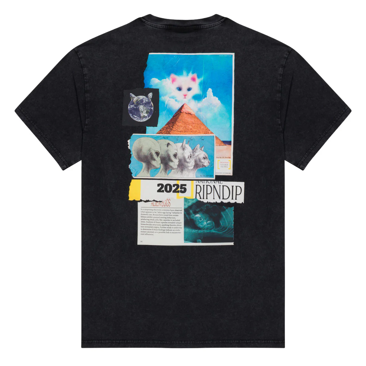 RIPNDIP Nerm Geo T-Shirt - Black Vintage Wash - Image 2
