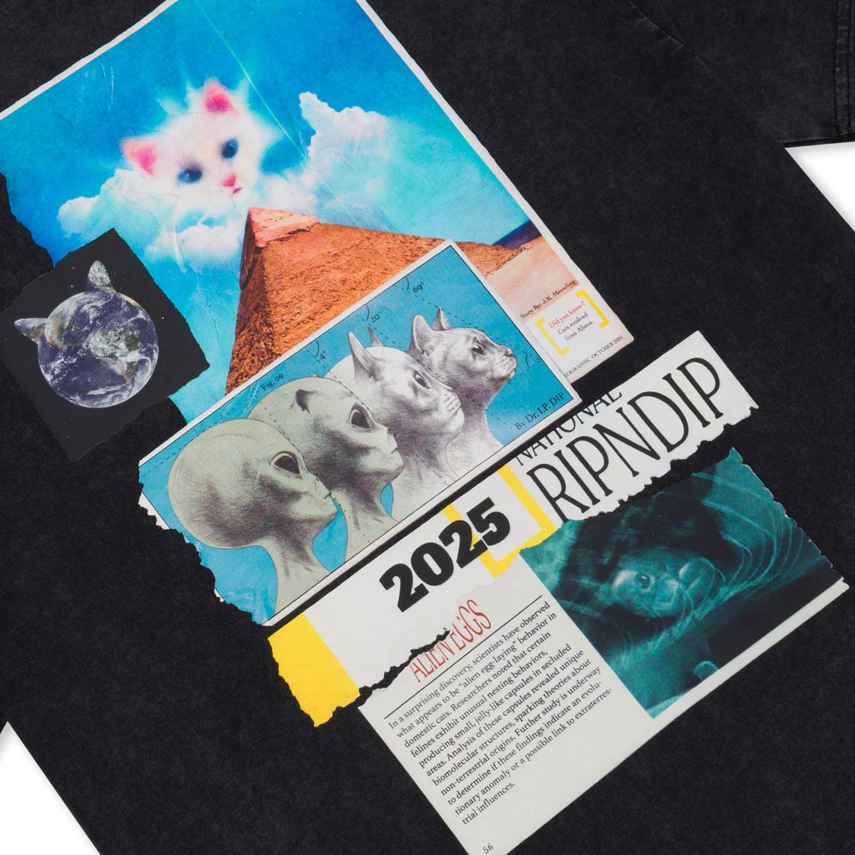 RIPNDIP Nerm Geo T-Shirt - Black Vintage Wash - Image 3