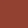 RIPNDIP Peeking Beanie - Burnt Orange - Image 4