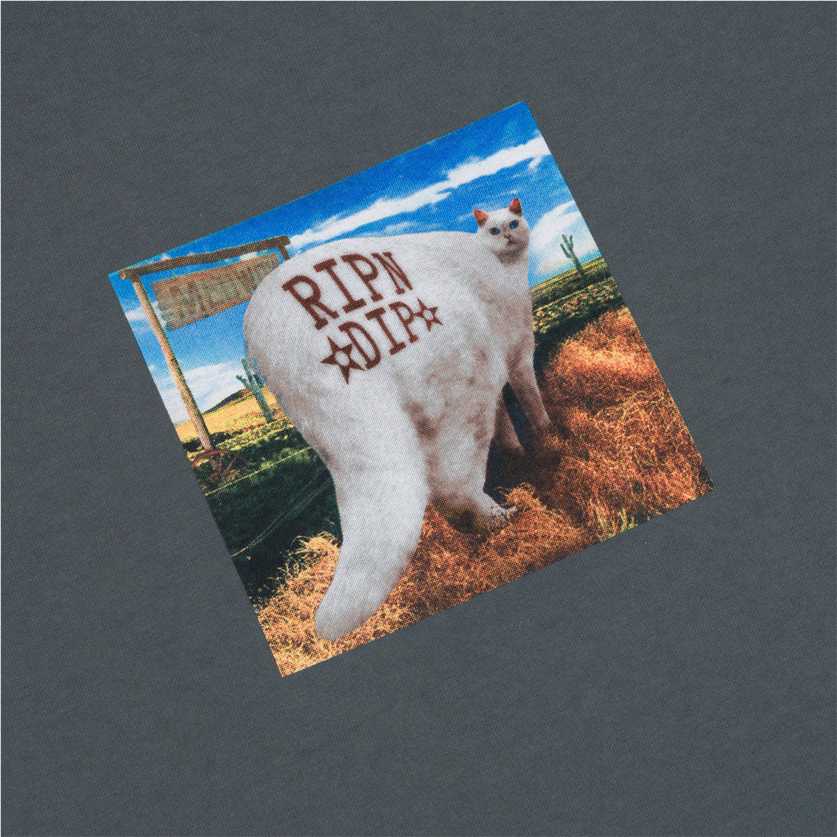 RIPNDIP Rowdy Howdy T-Shirt - Charcoal - Image 3