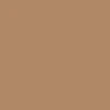 Santa Cruz Dressen Tribal Arch T-Shirt - Khaki - Image 2