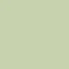 Santa Cruz Tripper T-Shirt - Pistachio - Image 3