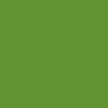 SKF Alexis Pro Bearings - Green - Image 3