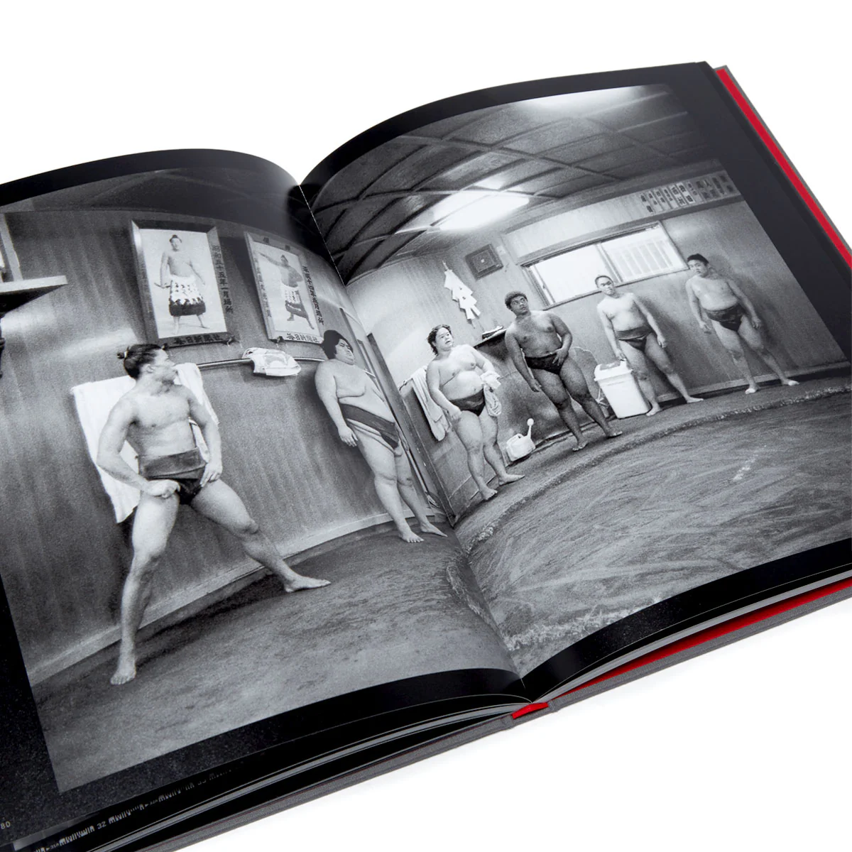 Super Labo The Joy Is In Capturing The Journey Book By Ray Barbee - Image 4
