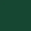 Thrasher Skate Outlaw T-Shirt - Forest Green - Image 3