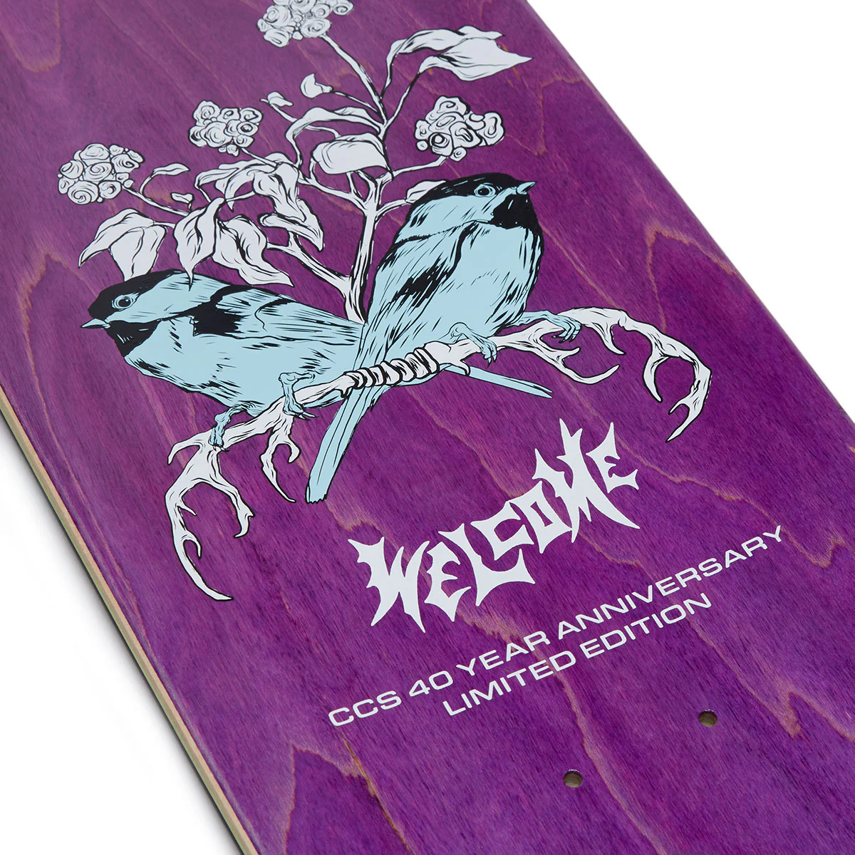 Welcome x CCS Nora Fairy Tale on Wicked Queen Skateboard Complete - 8.60" - Image 3