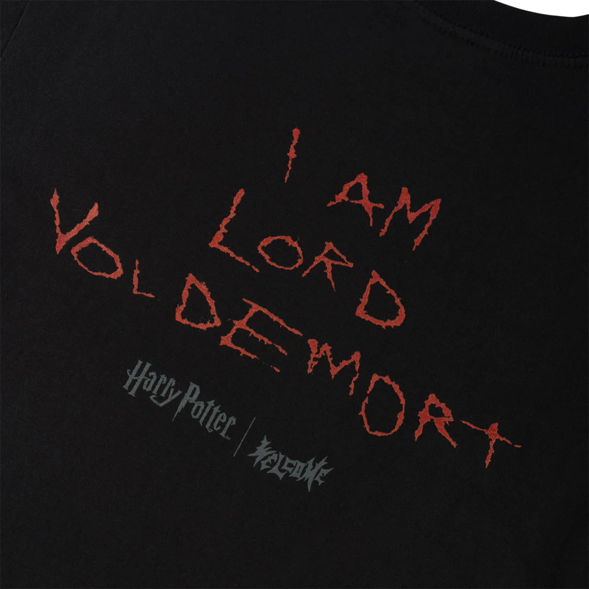 Welcome x Harry Potter Voldemort T-Shirt - Black - Image 4